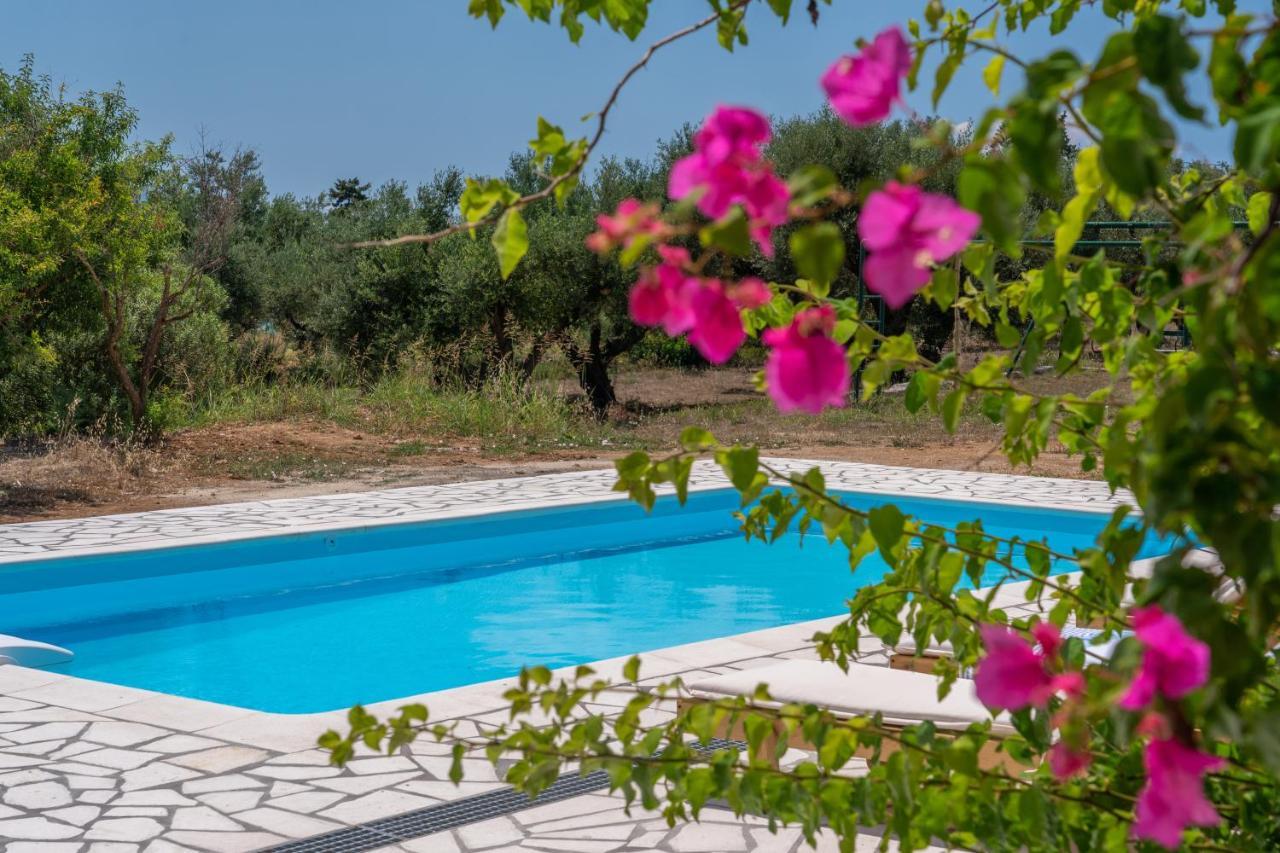 Villa Ostria ليكسوري المظهر الخارجي الصورة